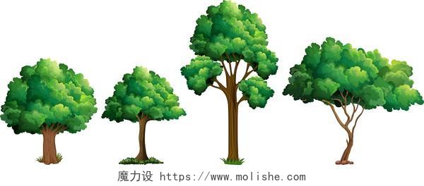 景观园林绿色树树木